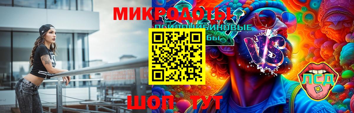 Галлюциногенные грибы Psilocybe  Вход с VPN  Котлас 