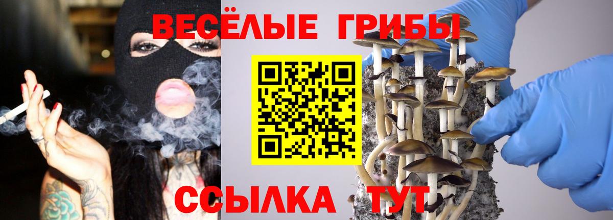Псилоцибиновые грибы GOLDEN TEACHER Котлас